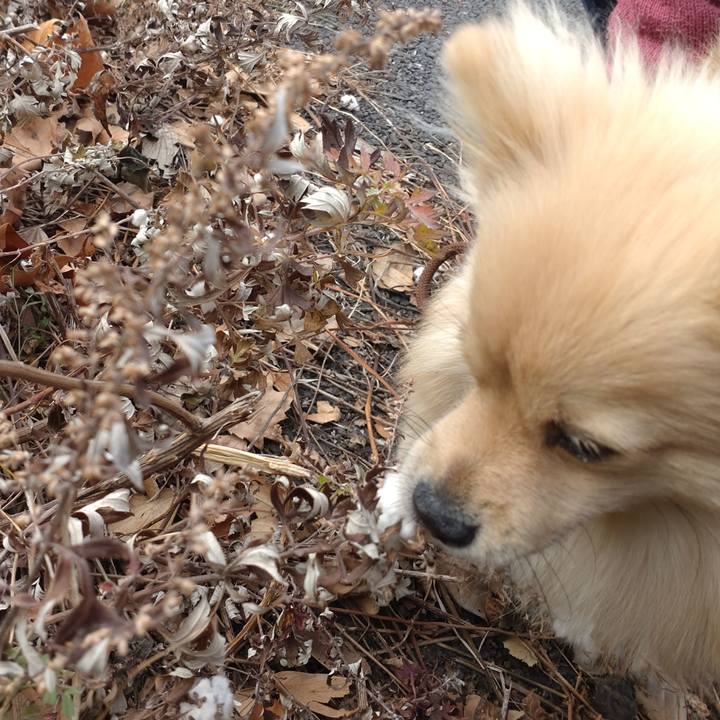 2a39cce7 b9a5 466c 8ce2 707e5a2466e8 1735628121062