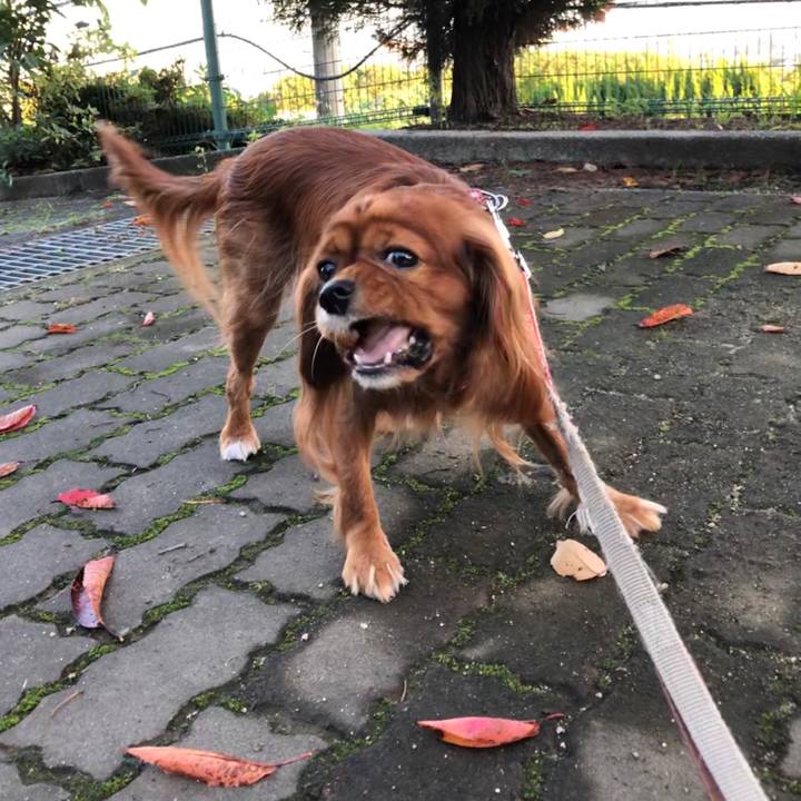 2a39e25f 8eb7 4aa4 9348 e11fb0edd081 1572092494351