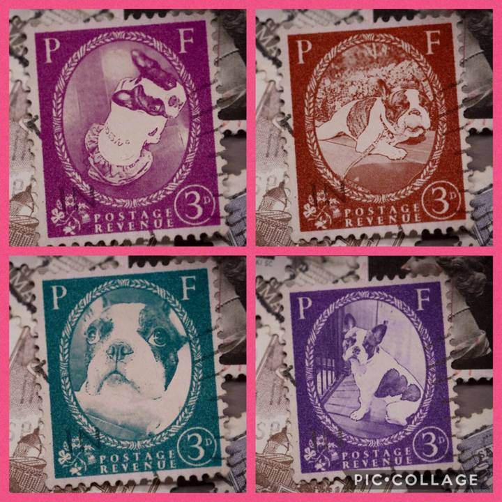 2a3a4429 d582 418f a031 ed1fcbc43808 1569827242698