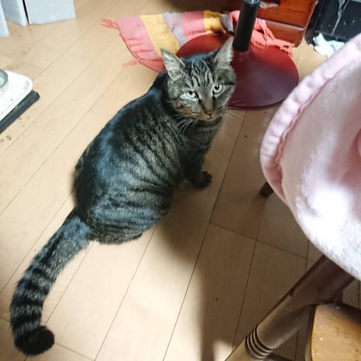 2a3a919f c1be 475b 992b d944f9913f6f 1640467695554