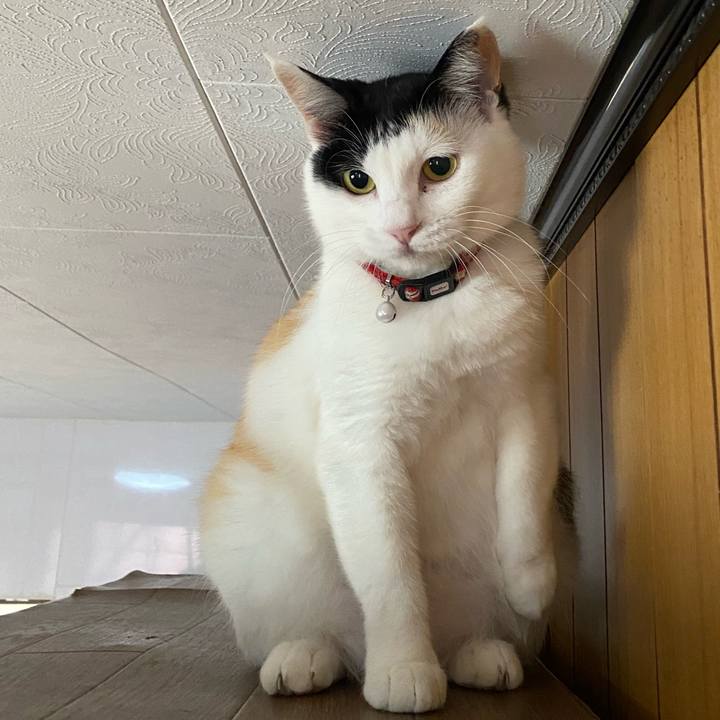 2a3ad29f 7916 4402 90b7 984f16ff1dbf 1655021311522