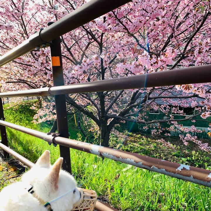 2a3afae5 694f 48f4 ab6b c112156a0662 1620077739609