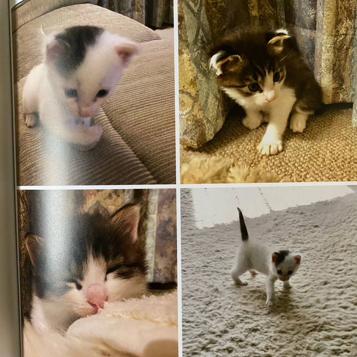 2a3b2fe5 08c3 4625 81e8 27e07b76581d 1664921803911