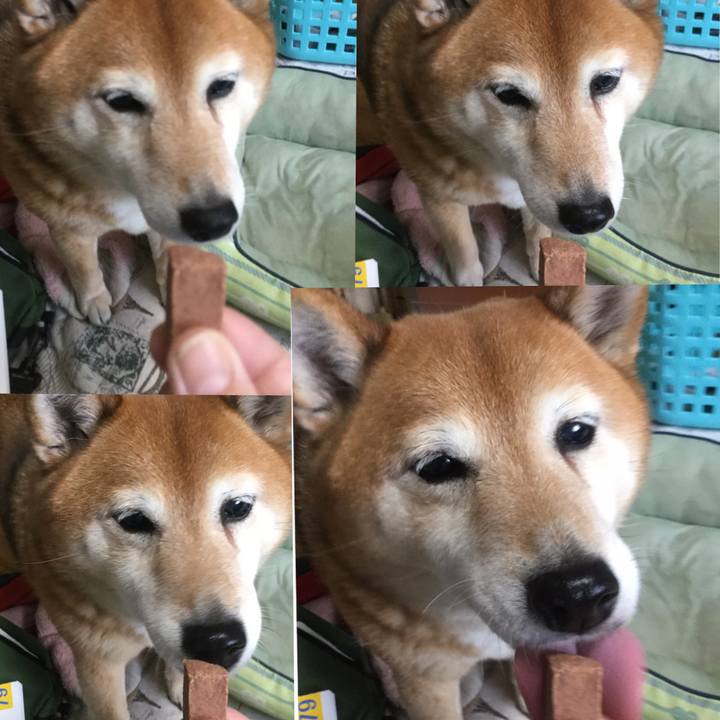 2a3b366b 9693 4cfd ba79 d3abd2aa024e 1620522481127