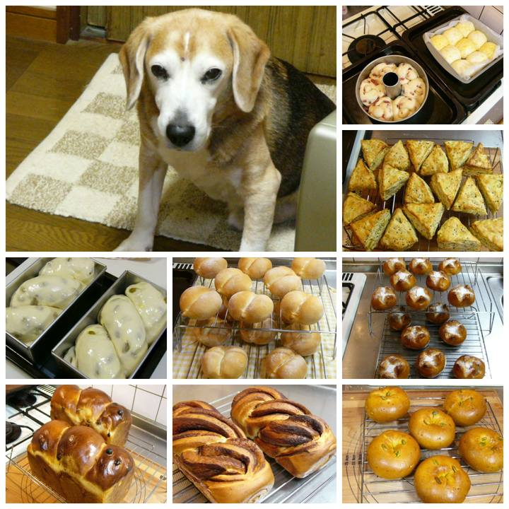 2a3b3a1c 5024 4b76 9a85 c2f6e1845db2 1662078657240