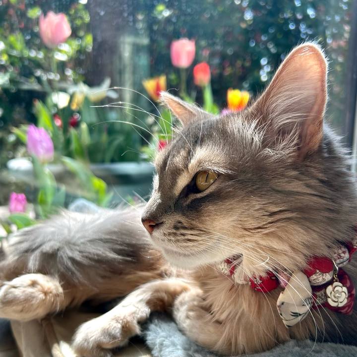 2a3b3e46 aea8 4de3 a176 a7b06e31c104 1774067612974