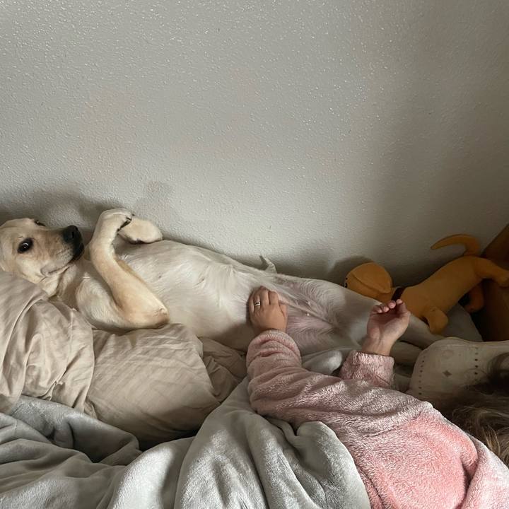 2a3b4b7d ea92 49c9 b9d9 447a8af2a229 1640748465162