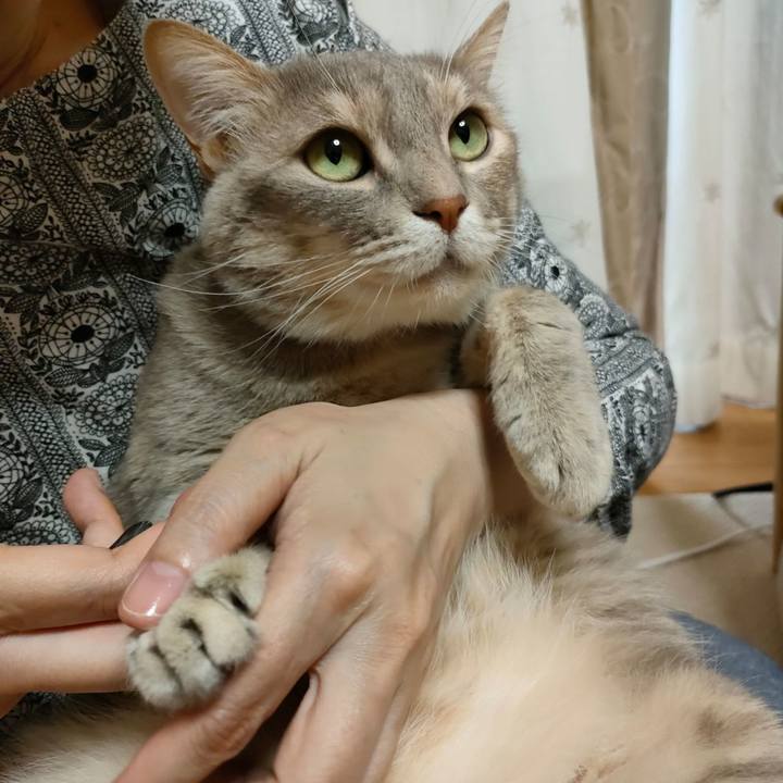 2a3b8e29 5f8a 4008 937f 0142e5e5564e 1653404353570