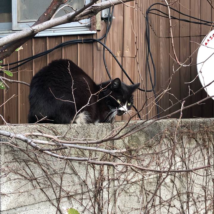 2a3be0ea d146 41d7 aec4 1ff0ea1bc674 1545403212804