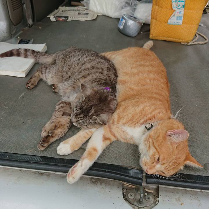 2a3be11a fb62 44c3 9c63 a43fddfc6fa0 1595743990857