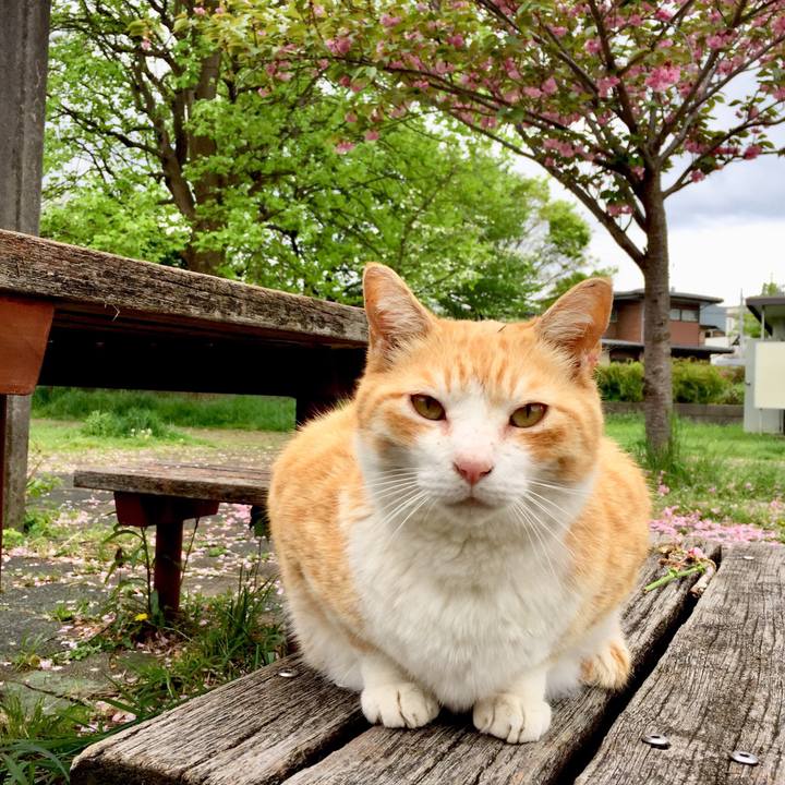 2a3bf04d f165 4207 97d9 6bb7e2360165 1556354424110