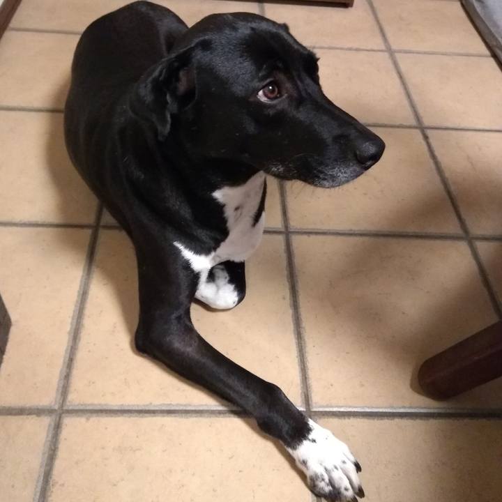 2a3c0073 2840 4f72 af28 b2cec8b3a31d 1620619151576