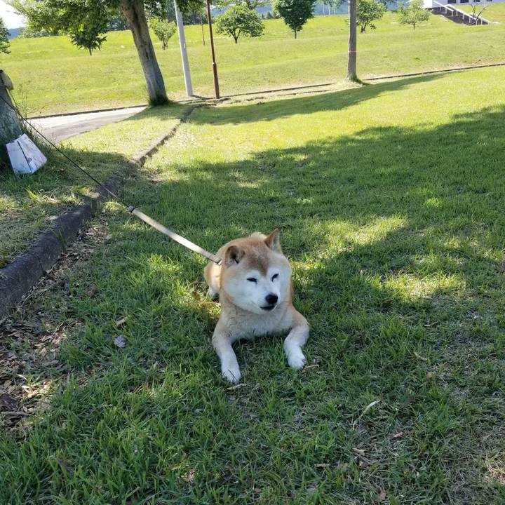 2a3c3565 8f90 44c2 8009 3180138a7c2f 1716958713989