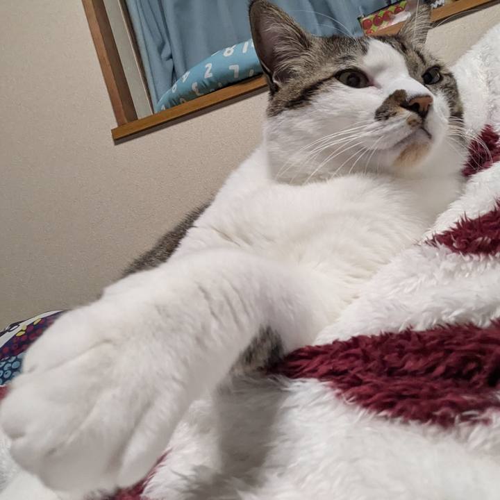 2a3c4448 8cd3 4de6 a449 6581c0f5b219 1736609218987