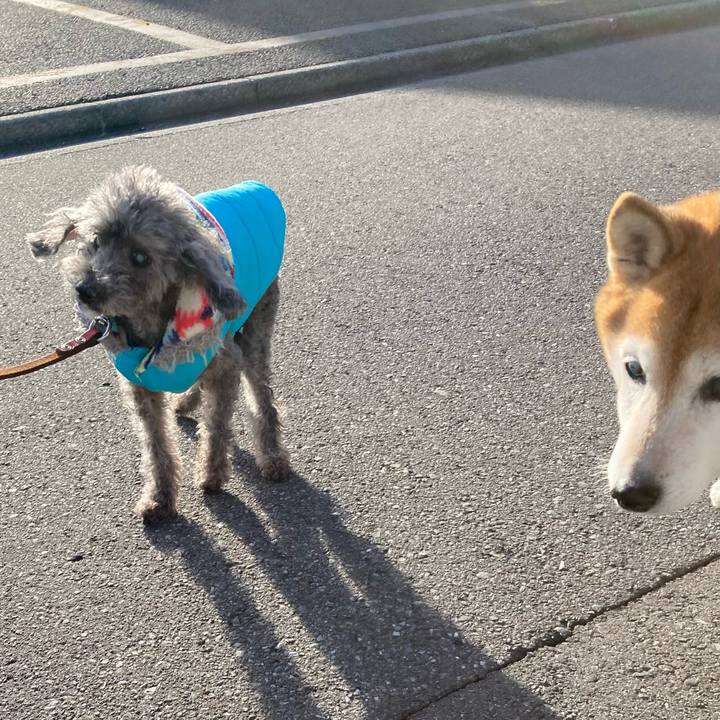 2a3c5e8a 081d 4f9e 9a8f 537c985d0d49 1766984042081