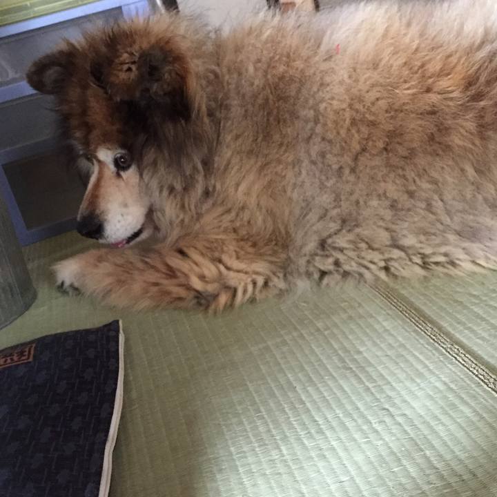 2a3c97f9 859e 4264 97a4 95a81f0cfed1 1594106780595