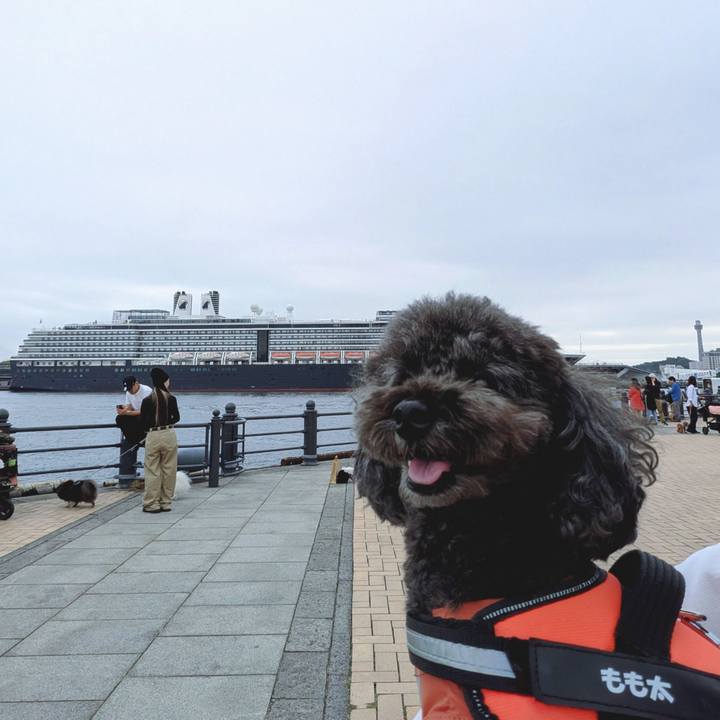 2a3cb5aa 7045 46a2 89b5 a1d2aa491e7f 1760252983385