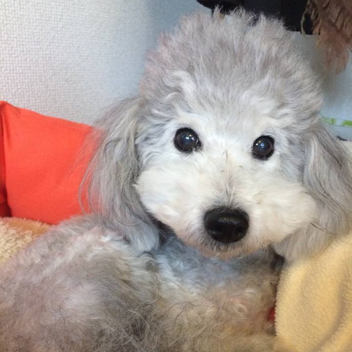 2a3cbe32 4543 4888 92c8 59b78f6c5f3a 1726101265373