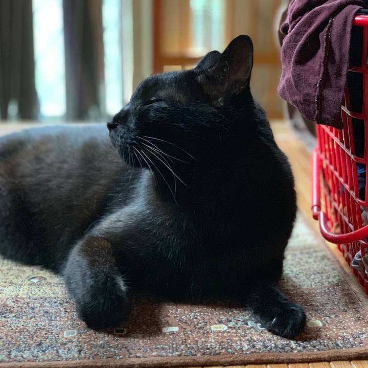 2a3cc747 acff 4667 b58c 9b72000de883 1562634244228