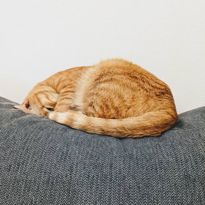 2a3cda0c 055b 4d72 98b3 a43c829e98da 1640565972274