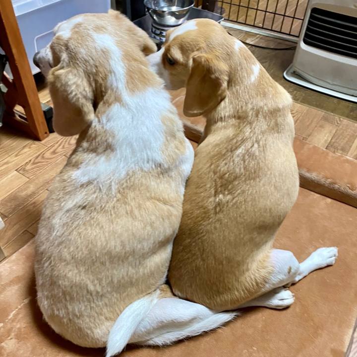 2a3cf98a c5cf 4f8f b60b 02931da1d1c0 1602628628514