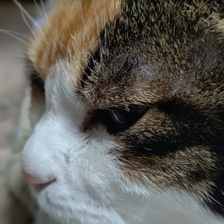 2a3d0a98 b33b 49c3 aabc 800b29365de0 1605217582876