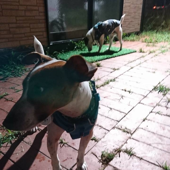 2a3d4bde 3cc3 4368 aa69 fb6afd8b2ffd 1566736965341