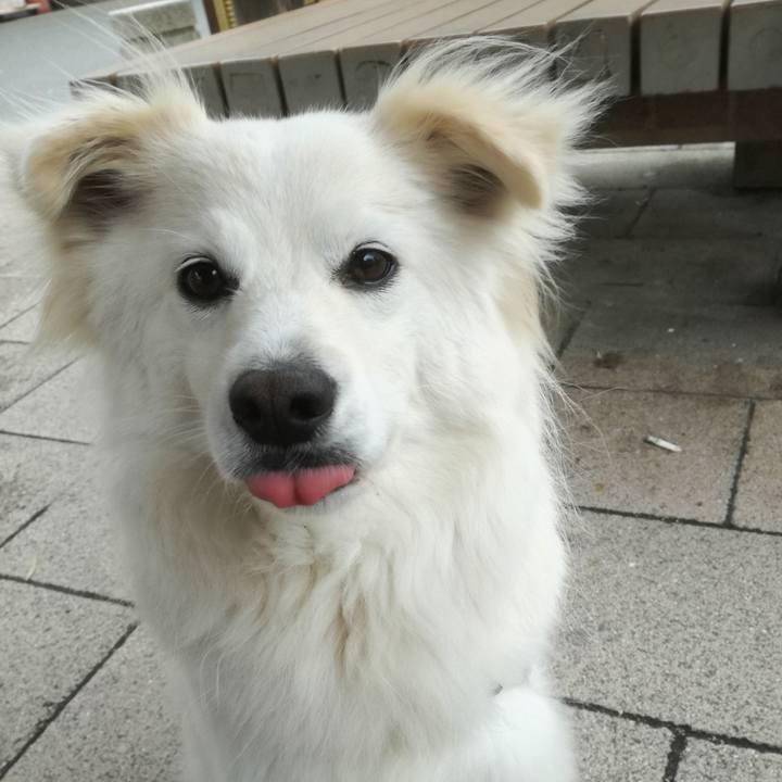 2a3d57ce 498c 4f5c 9c9f f8331db7c719 1521510867847