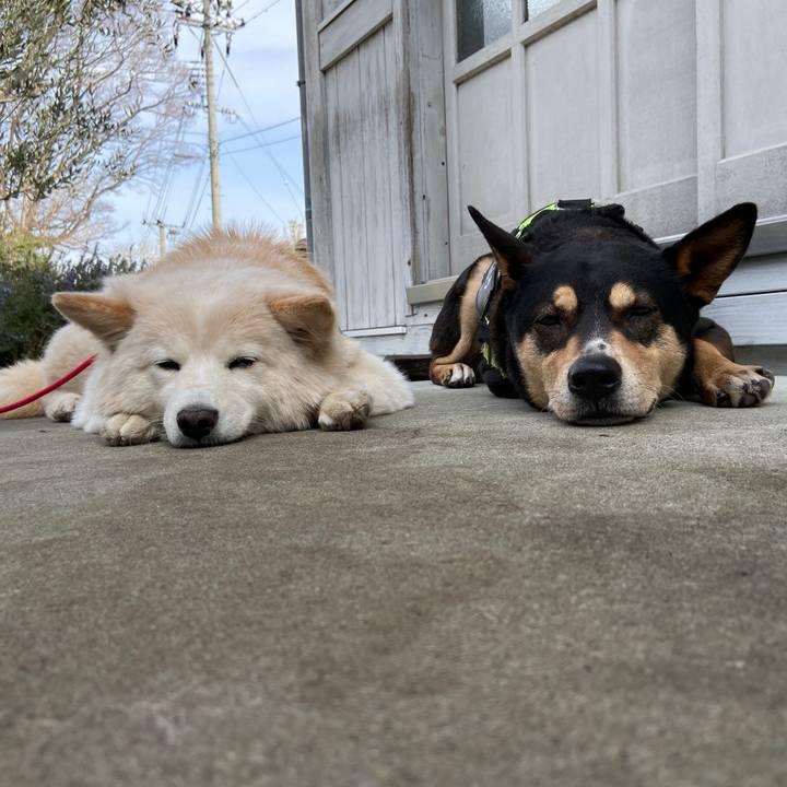 2a3d7708 b887 4b23 8caa bd1e287ca170 1678676897180