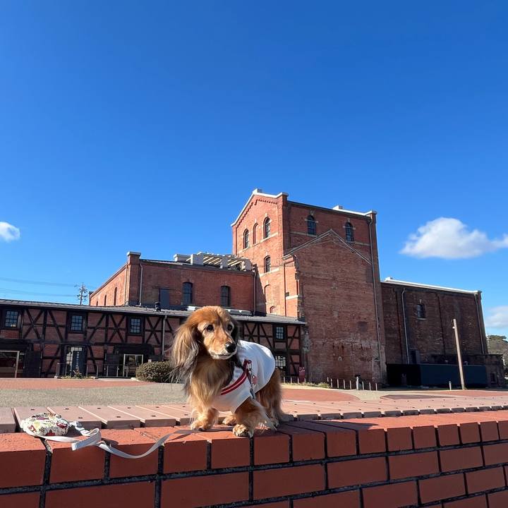 2a3d908a 6b83 47df ae38 b2d93080aea5 1768198732025