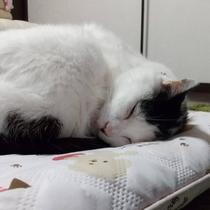 2a3de6b6 5b4e 4449 820e 3bfba7b3c082 1617002087211