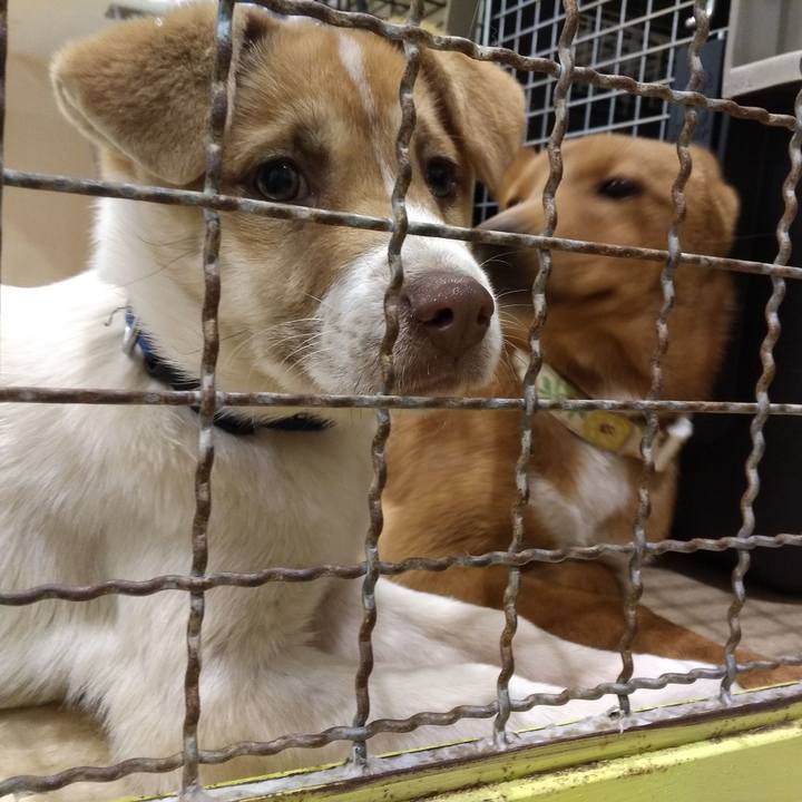 2a3e4910 d3e9 4d0d 8a6c 706cff3008ba 1549795212400