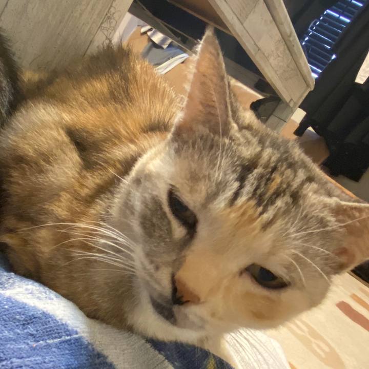 2a3e65e5 e3a1 473b b361 d1590a74b4a4 1602043271359