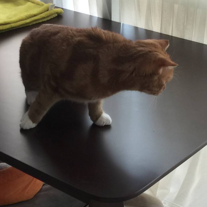 2a3eb6ce 6c83 4aac 93ec 5005e0643bb4 1529202751562