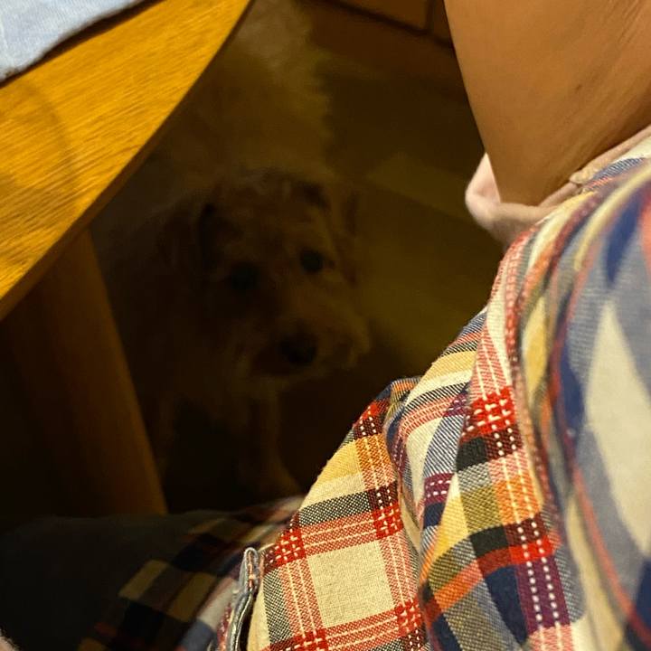 2a3edb08 aed1 4d64 bb7f 5dc4cf9259c6 1668856449416