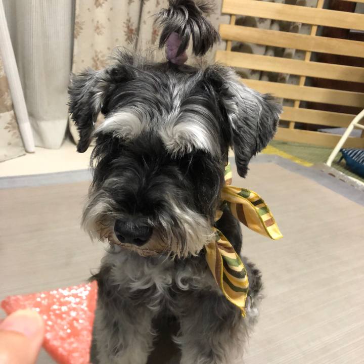 2a3edbd1 713f 40ae 9efb 9da162439b05 1626531793414