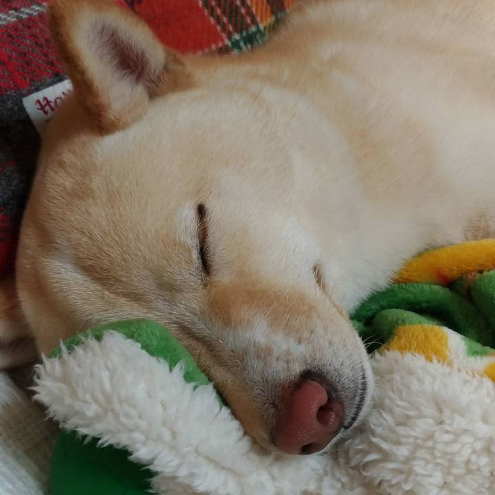 2a3ee526 63f1 427d 9c92 929f14dcbd66 1518952146184