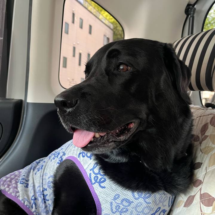 2a3ef147 53a9 4079 abe7 d8318649686a 1776843773866