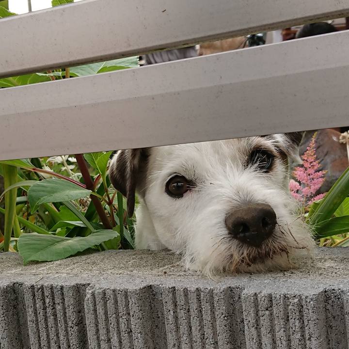 2a3f0a4c 169e 4652 ab5d ac33e529ec03 1527550502945