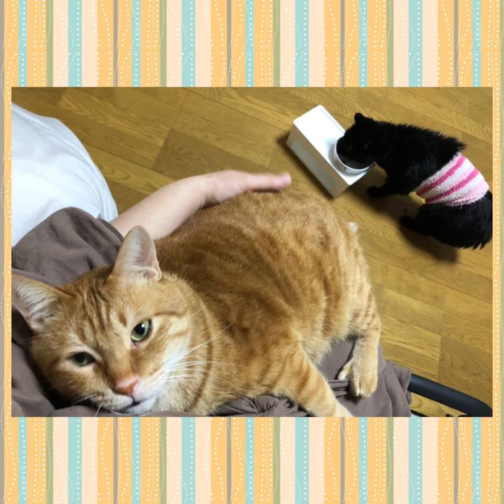 2a3f1c99 9f89 4fda b836 5f1ca7990511 1611233106126