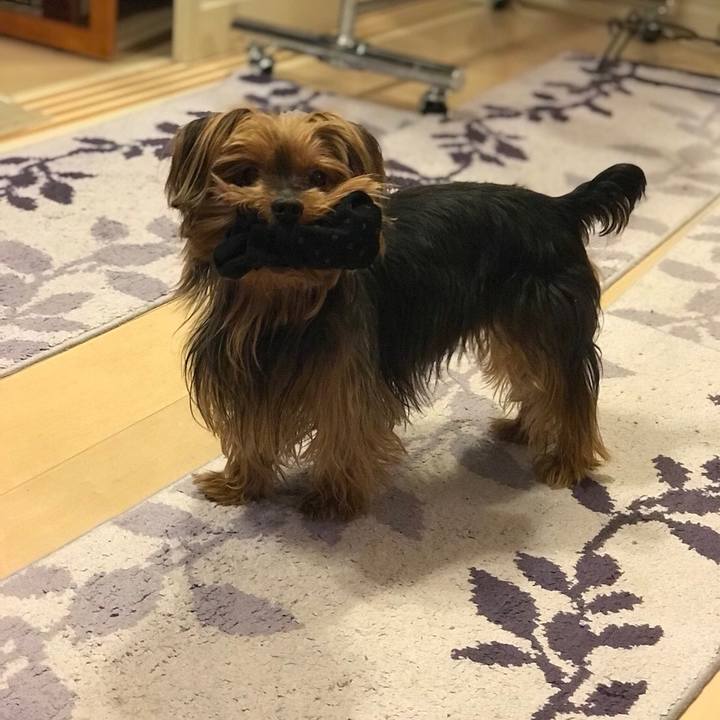 2a3f291c d932 4db5 80b5 c9fa506bf35b 1526721365937