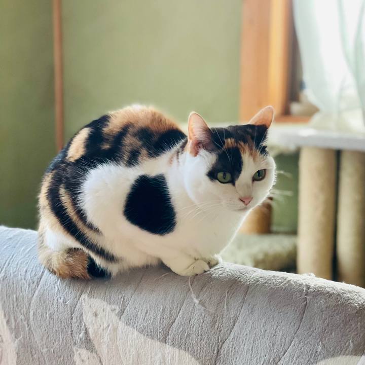 2a3f42b2 8c1d 4e92 a5e4 9d13fbedb4ef 1611283047152