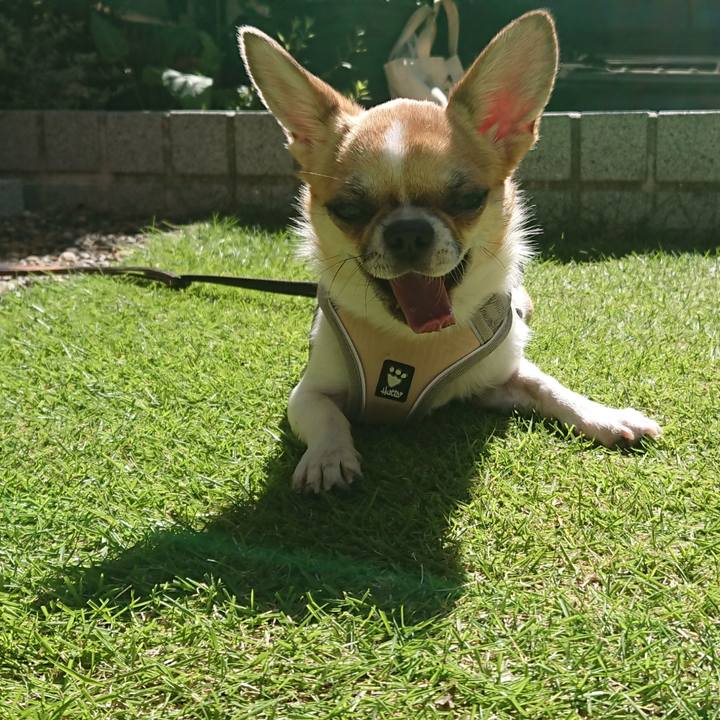 2a3f431d 4b19 45af abbe b742b62e3f82 1560731926790