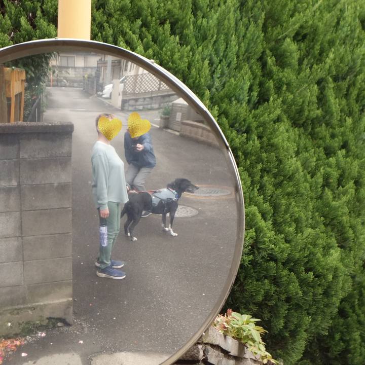 2a3f7651 b61d 4071 aad0 852095063bbc 1744332448788