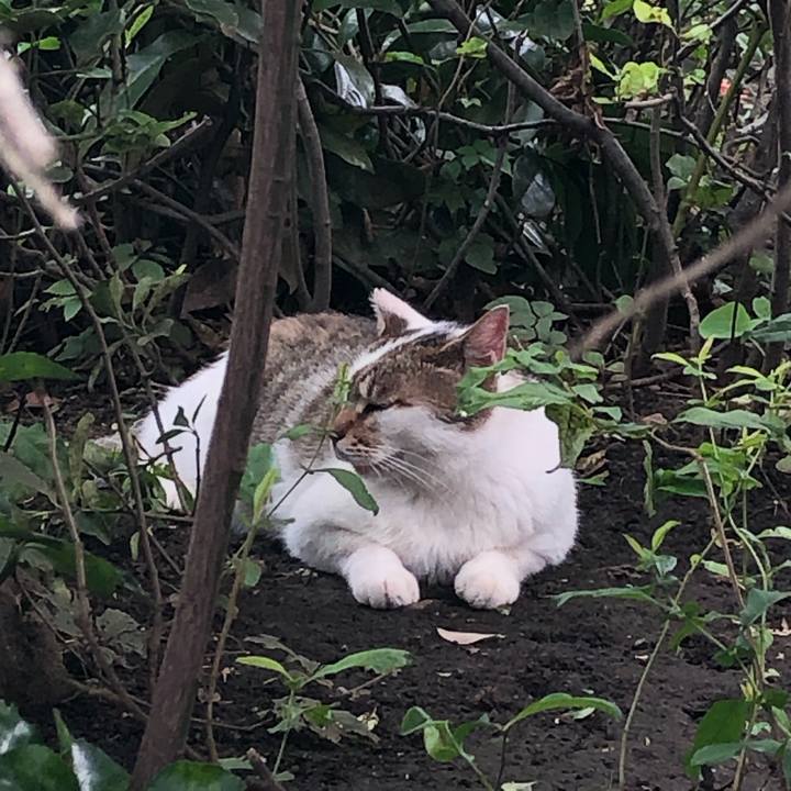 2a3f8949 d8f5 46f8 9905 13df64affad6 1564045949271