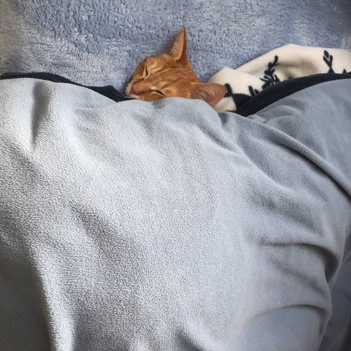 2a3f8fbf cd60 4075 97cd 8784877b39fc 1548116614632