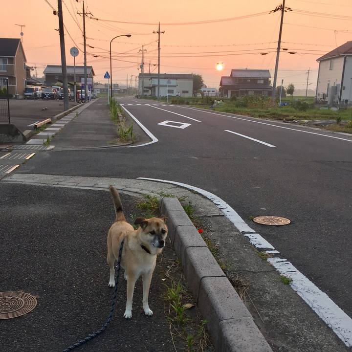 2a4038ad 52cb 4e55 9a3f 3eae9b3522fd 1531953221166