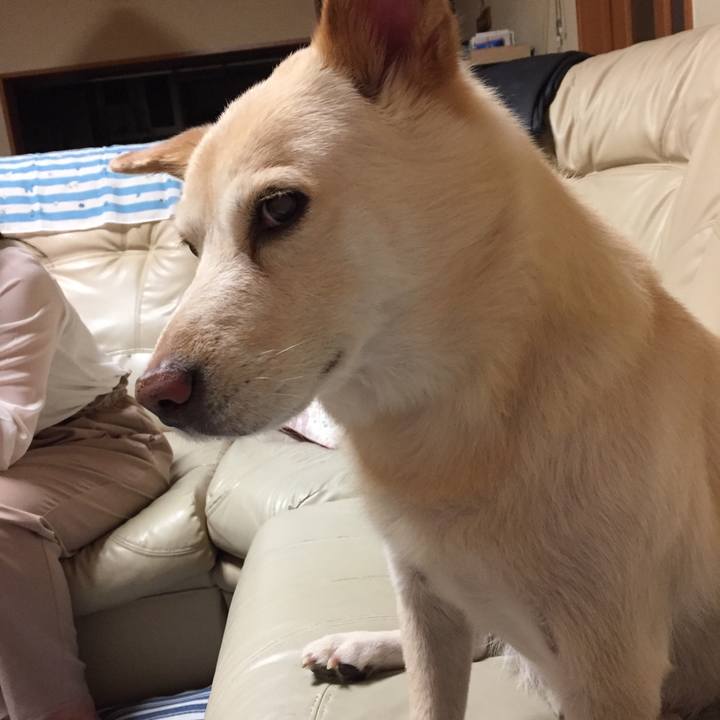 2a40777c a9cf 484b 9320 81ca8da09f74 1528982019329