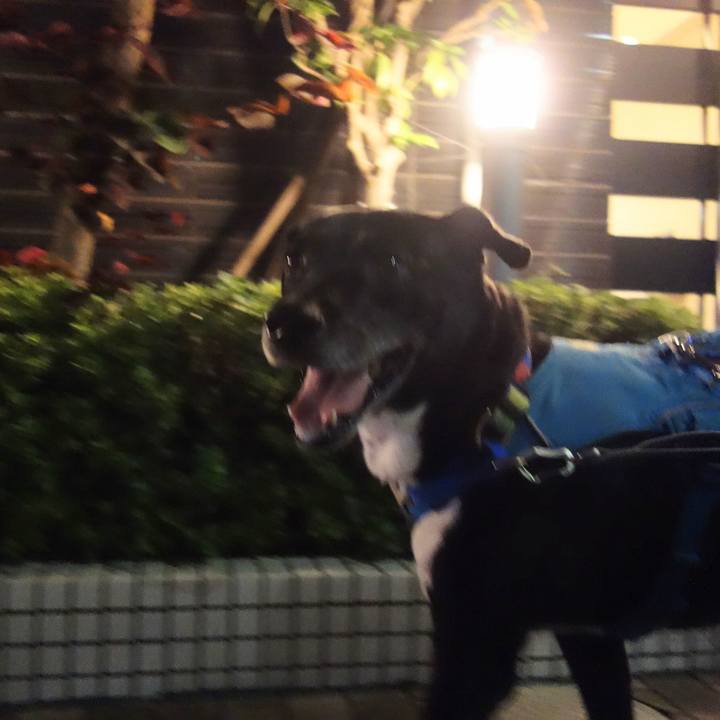 2a409e07 bb35 4cfa 9822 73045bfde95d 1695985122211