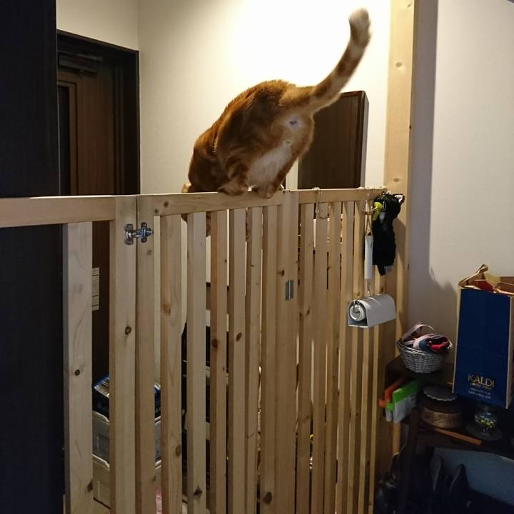 2a40a4be 4a09 4865 96c0 80cf73c3e35e 1519308431857